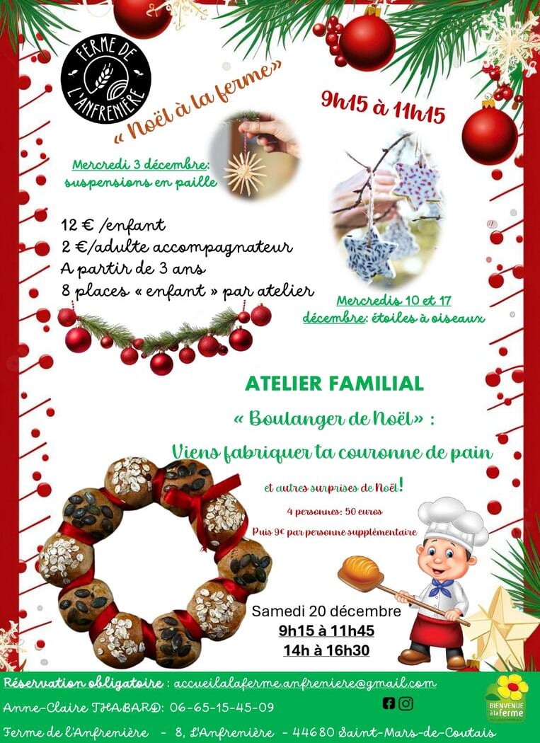 LES MERCREDIS A LA FERME ATELIER ÉTOILE A OISEAUX POUR NOËL 1